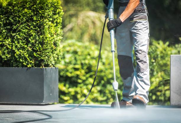 Best Roof Washing  in Ogdensburg, NJ